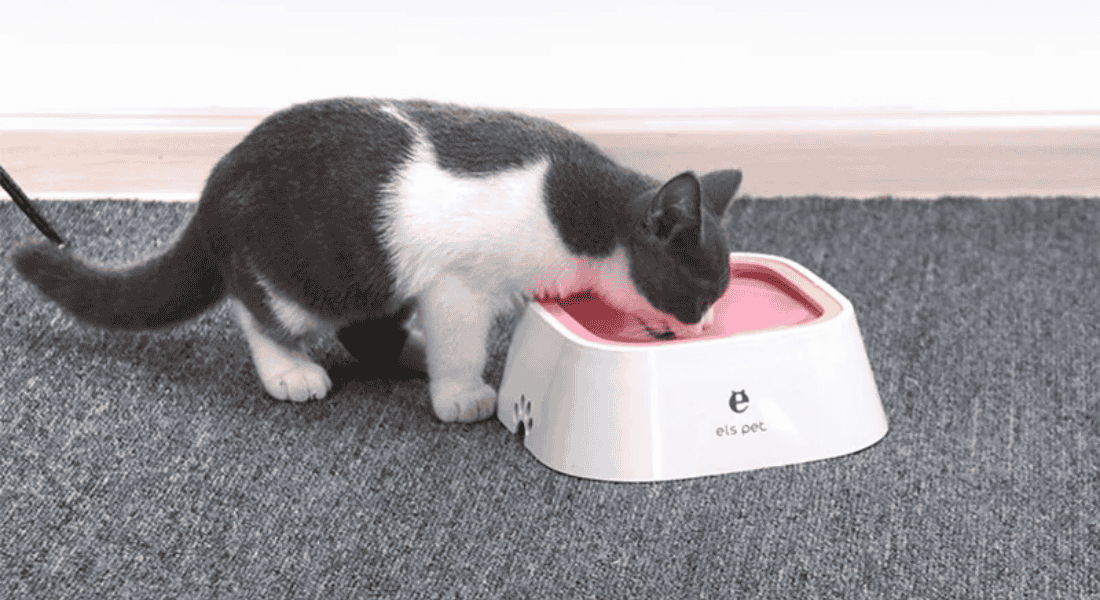 No-Spill Pet Water Bowl | Floating Feeder for Cats & Dogs