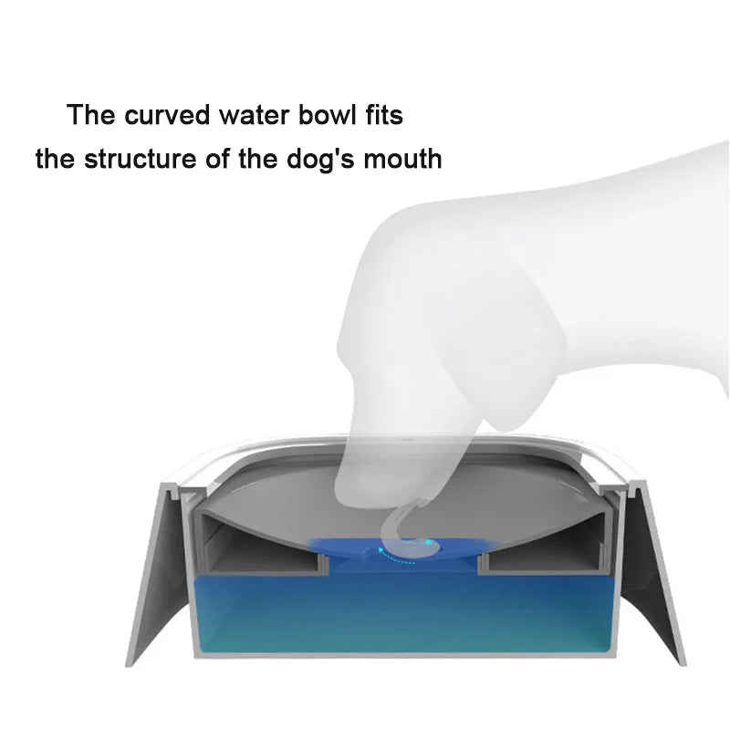 Hydratant pour animaux de compagnie sans éclaboussures
