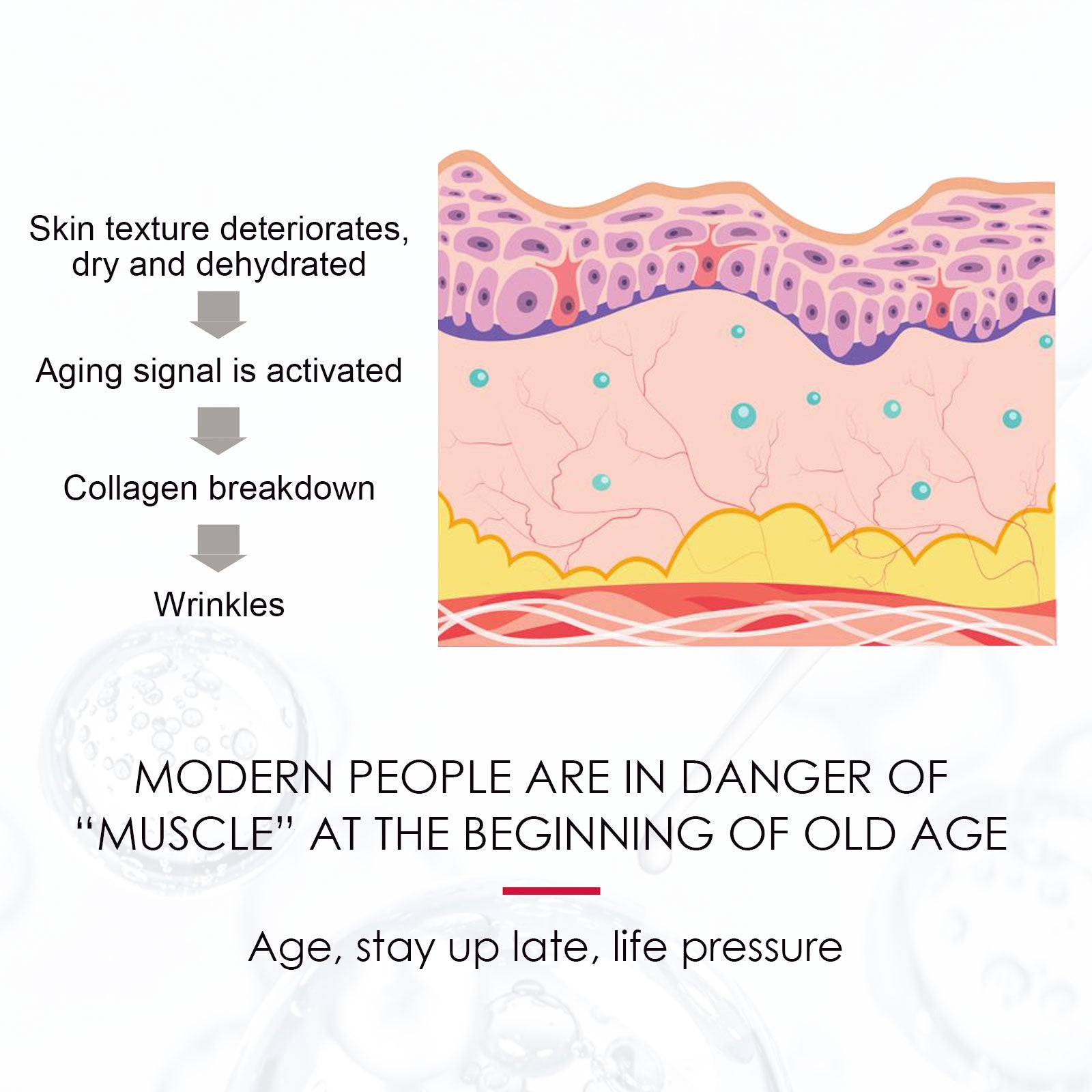 NOORWA Rosehip Facial Oil - Image 3